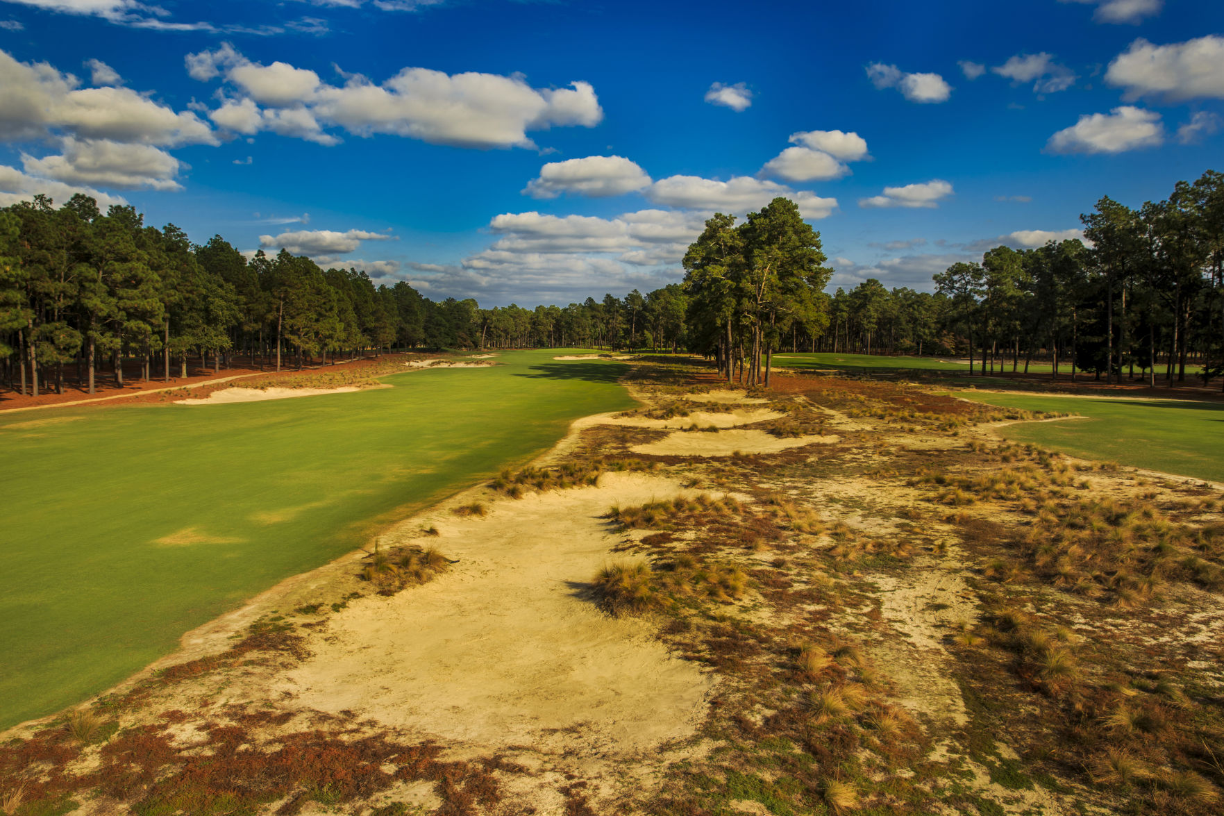 14th Hole